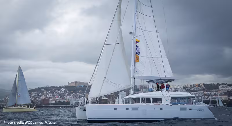 ARC, carton plein pour les catas