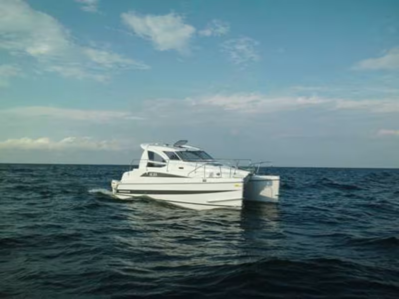 Motorcat 30 X