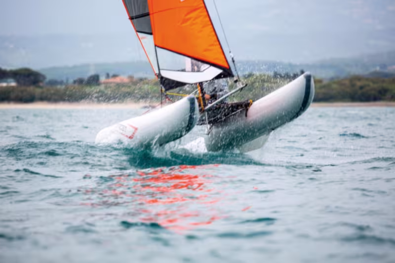 MiniCat pour Maxifun